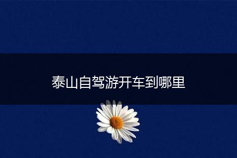 泰山自驾游开车到哪里