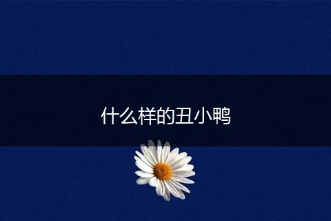 什么样的丑小鸭