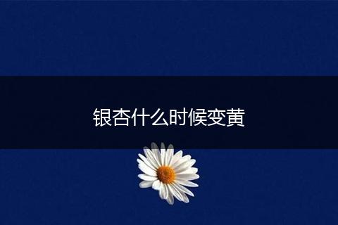 银杏什么时候变黄