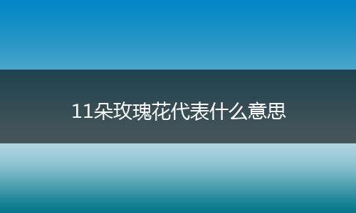 11朵玫瑰花代表什么意思