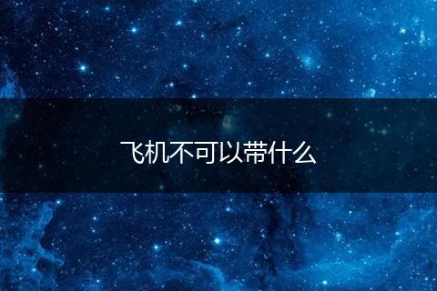 飞机不可以带什么