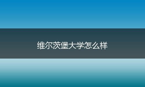 维尔茨堡大学怎么样