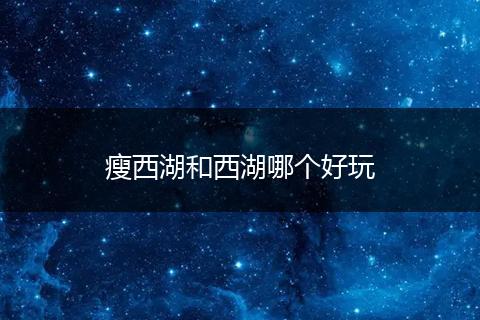 瘦西湖和西湖哪个好玩