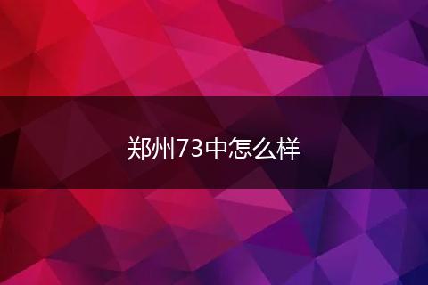 郑州73中怎么样