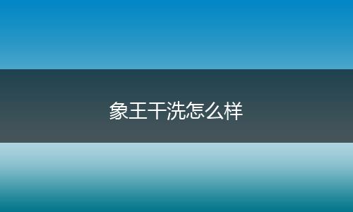 象王干洗怎么样