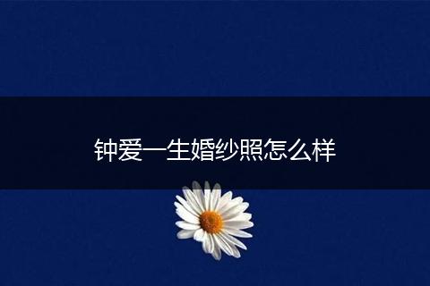 钟爱一生婚纱照怎么样