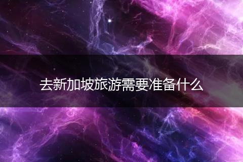 去新加坡旅游需要准备什么