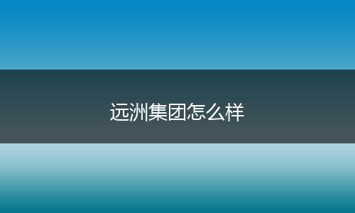 远洲集团怎么样