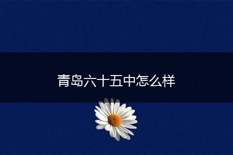 青岛六十五中怎么样