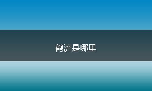 鹤洲是哪里
