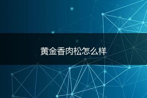 黄金香肉松怎么样