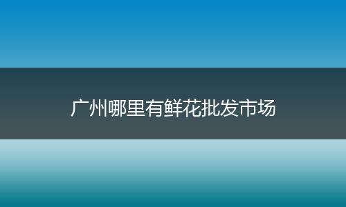 广州哪里有鲜花批发市场