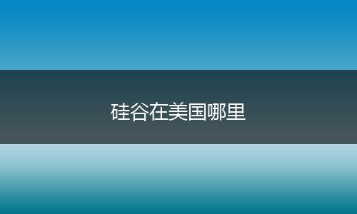 硅谷在美国哪里