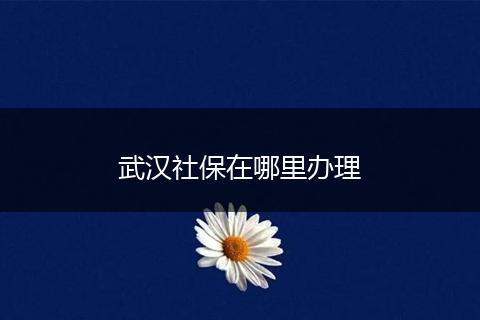 武汉社保在哪里办理