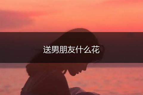 送男朋友什么花