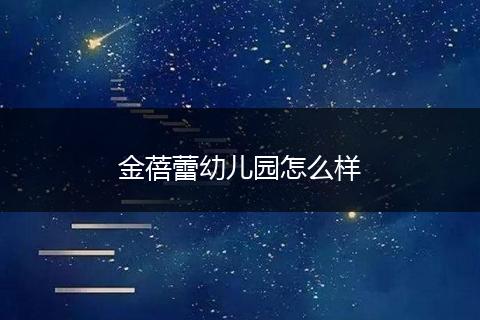 金蓓蕾幼儿园怎么样