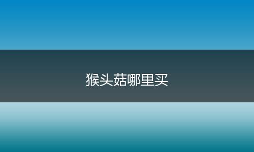 猴头菇哪里买