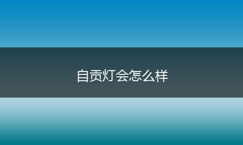 自贡灯会怎么样