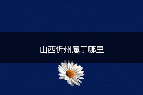 山西忻州属于哪里