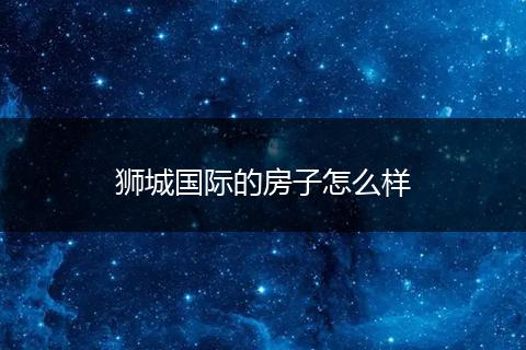 狮城国际的房子怎么样