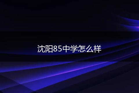 沈阳85中学怎么样