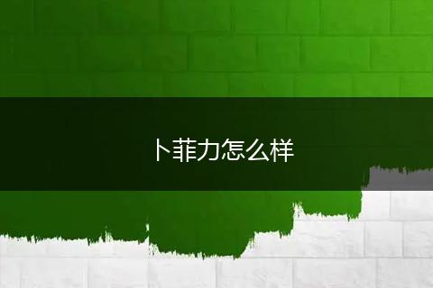 卜菲力怎么样