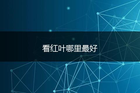 看红叶哪里最好