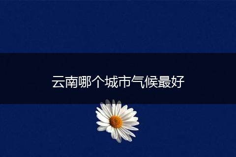 云南哪个城市气候最好