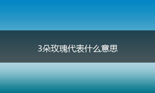 3朵玫瑰代表什么意思