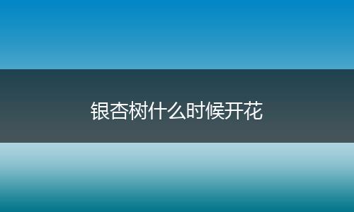 银杏树什么时候开花