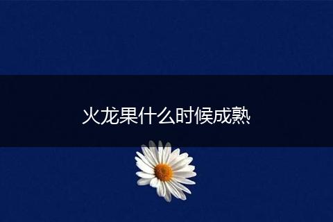 火龙果什么时候成熟