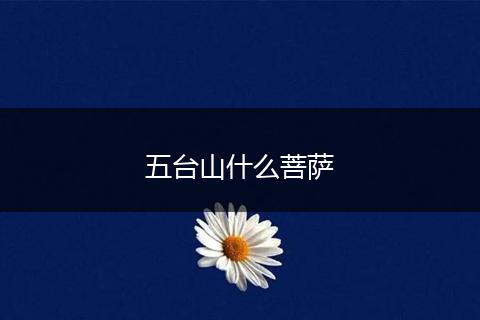五台山什么菩萨
