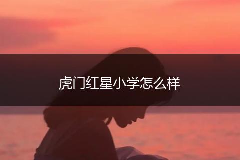 虎门红星小学怎么样