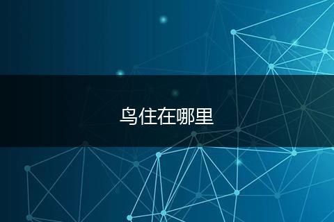 鸟住在哪里