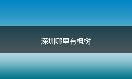 深圳哪里有枫树