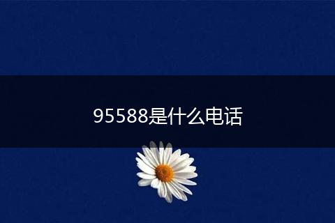 95588是什么电话