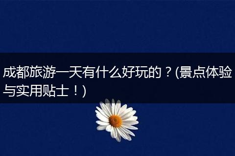 成都旅游一天有什么好玩的？(景点体验与实用贴士！)