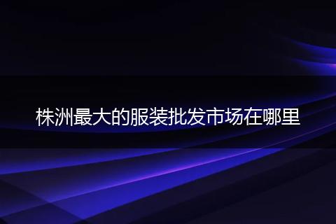 株洲最大的服装批发市场在哪里