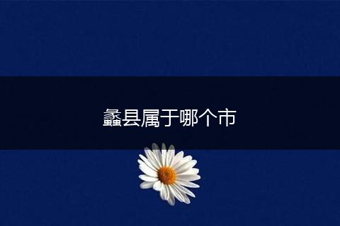 蠡县属于哪个市