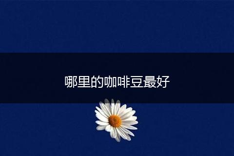 哪里的咖啡豆最好