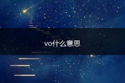 vo什么意思