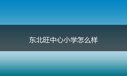 东北旺中心小学怎么样