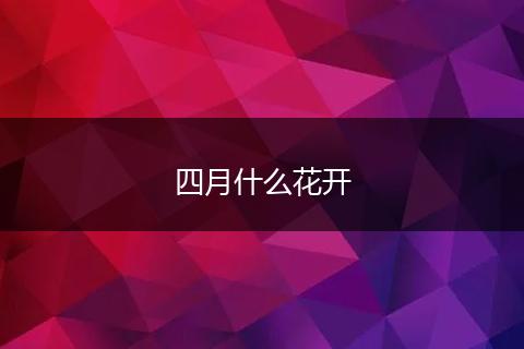 四月什么花开