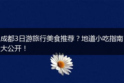 成都3日游旅行美食推荐？地道小吃指南大公开！