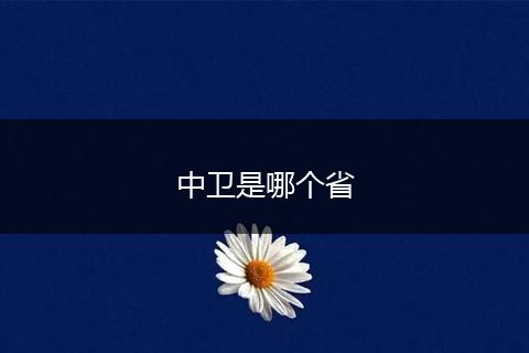 中卫是哪个省