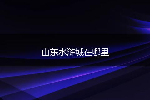 山东水浒城在哪里