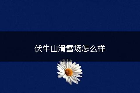 伏牛山滑雪场怎么样