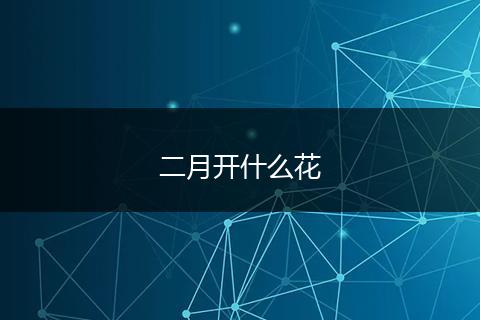 二月开什么花