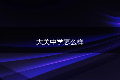 大关中学怎么样