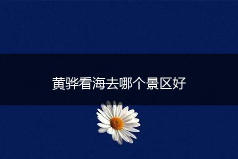 黄骅看海去哪个景区好